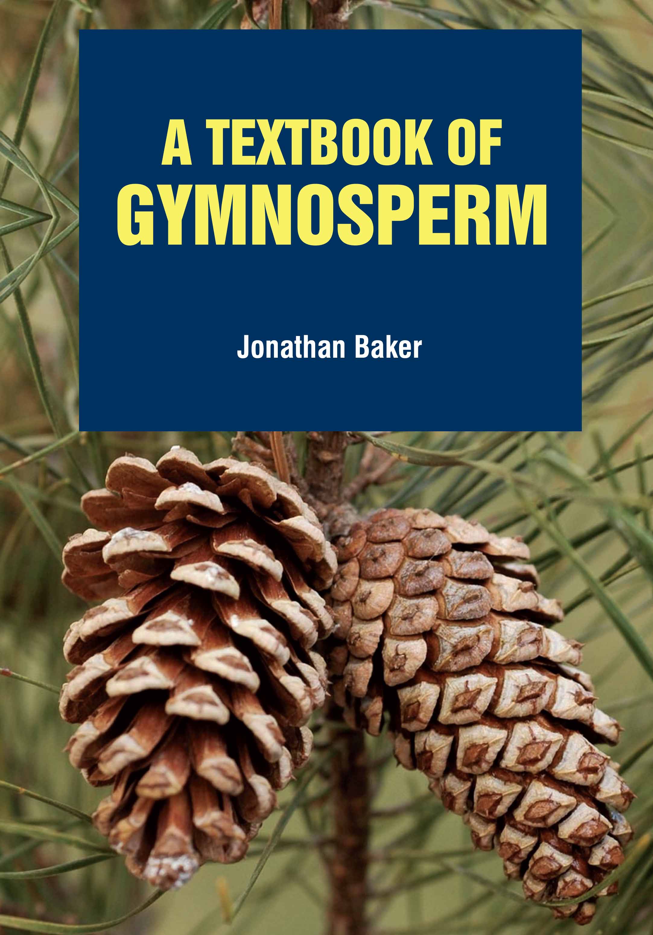 A Textbook Of Gymnosperm