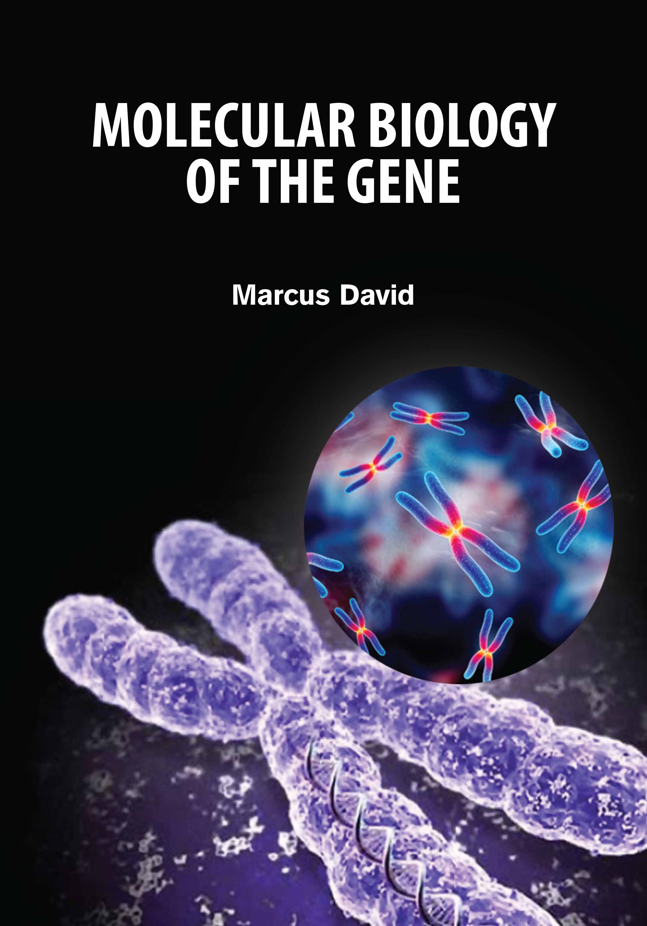 Molecular Biology of the Gene