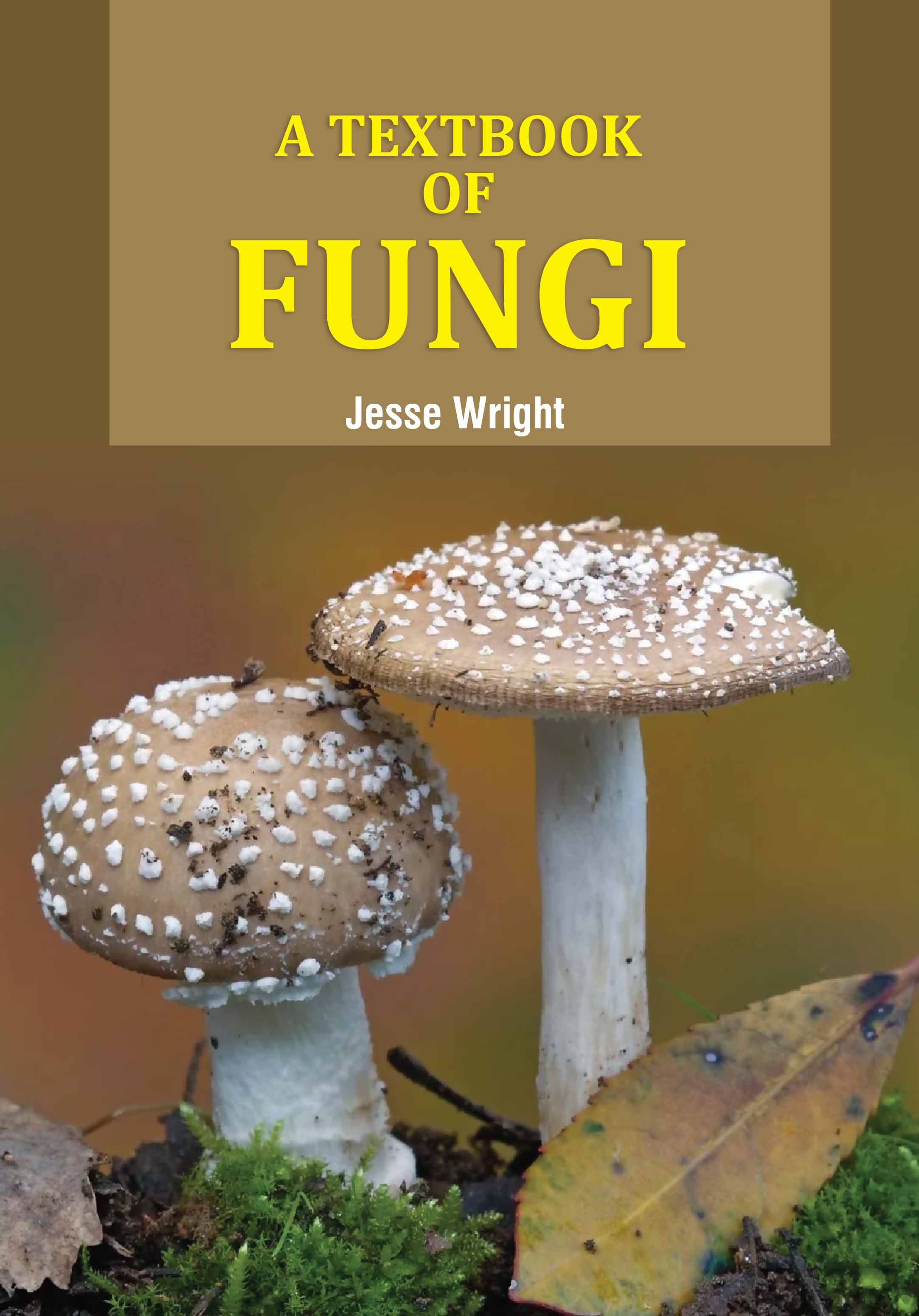 A Textbook Of Fungi